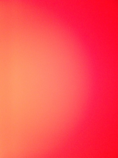 Photo de profil de chapuissarah