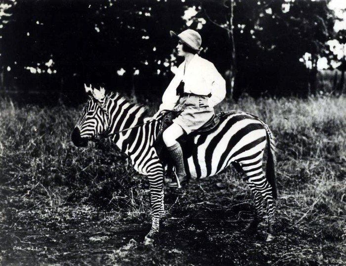 Photo de profil de charlotte0035