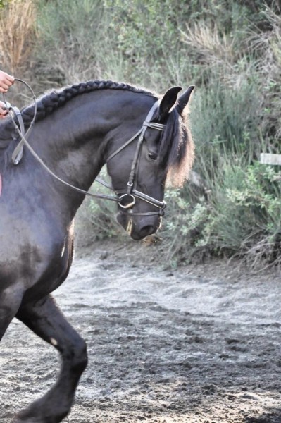 Photo de profil de charlotte.2b