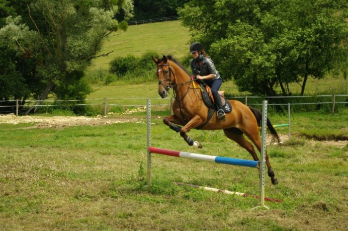 Photo de profil de cheval5803