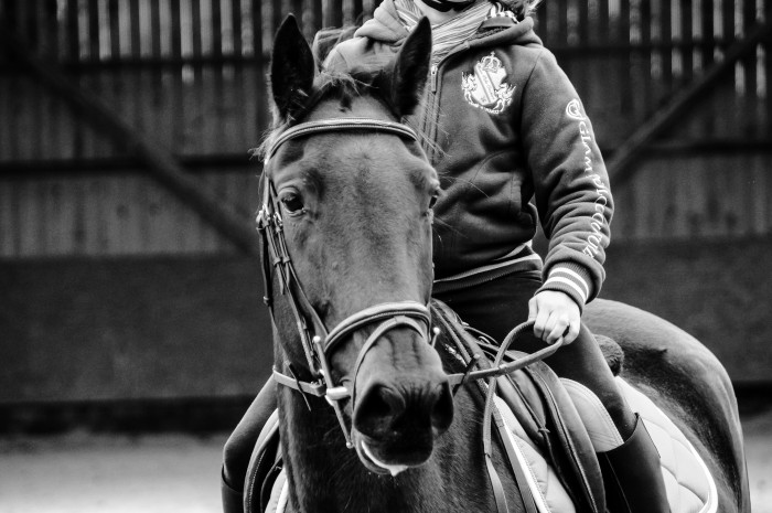 Photo de profil de chewpi