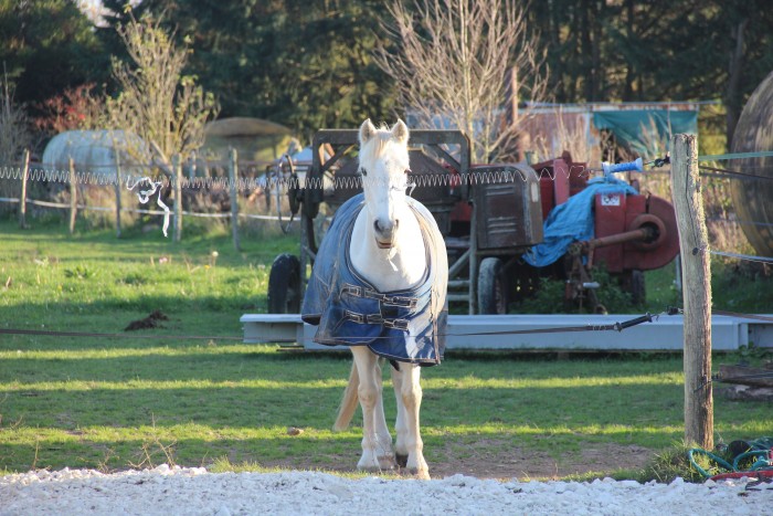 Photo de profil de chlloel