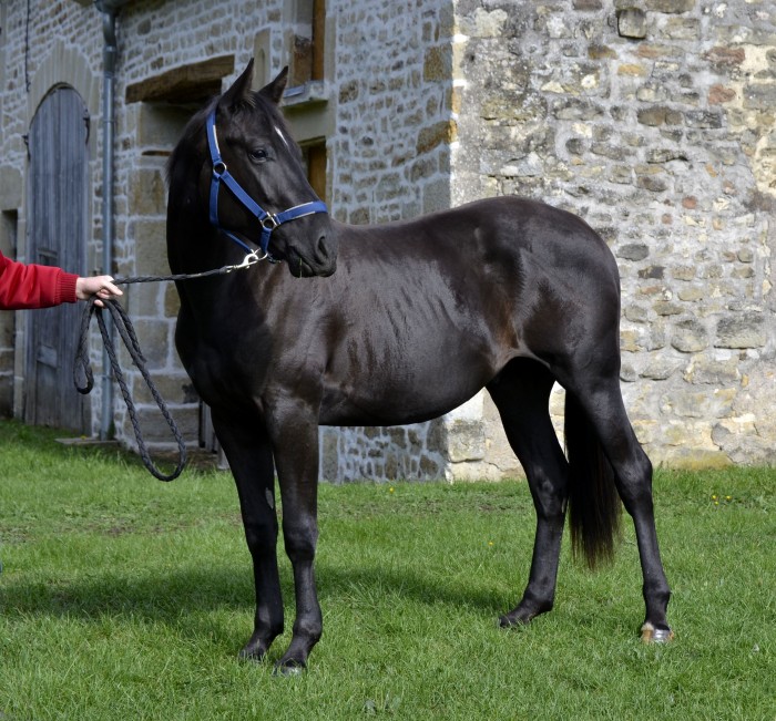 Photo de profil de chloel52