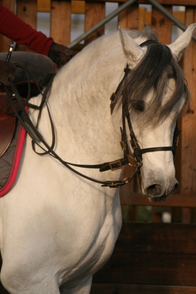 Photo de profil de chopit