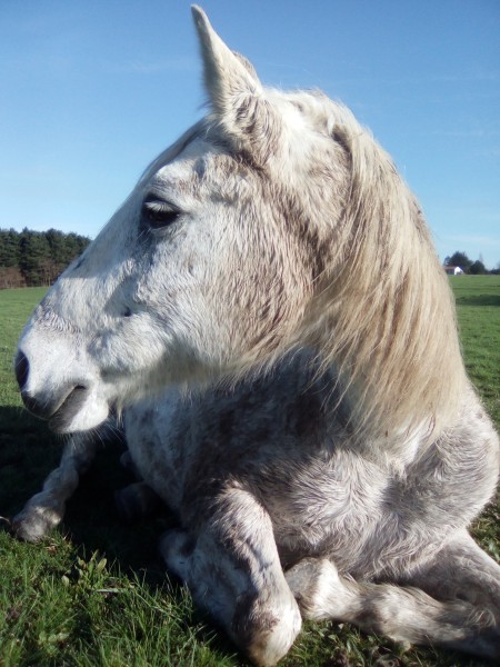 Photo de profil de choubidou121