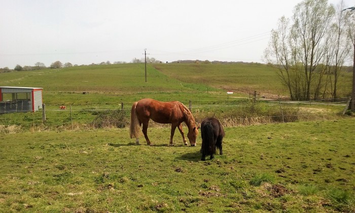 Photo de profil de choup001