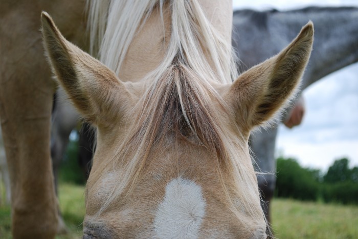 Photo de profil de christele89