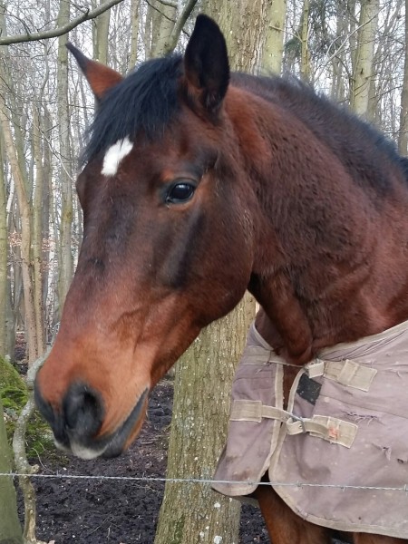 Photo de profil de christelle60