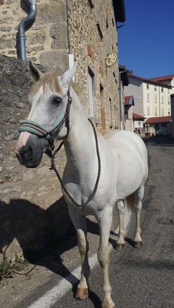 Photo de profil de christelledu69