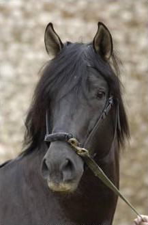 Photo de profil de christophe0261