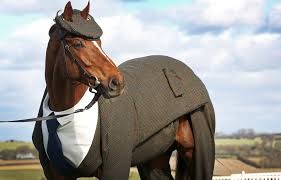 Photo de profil de chuachesma