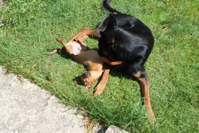 Photo de profil de cindy36
