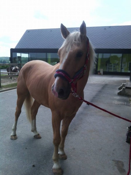 Photo de profil de cindynord