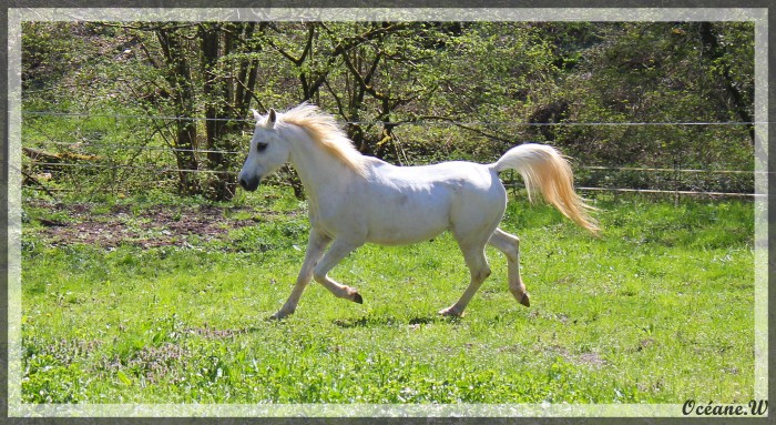Photo de profil de clacla67
