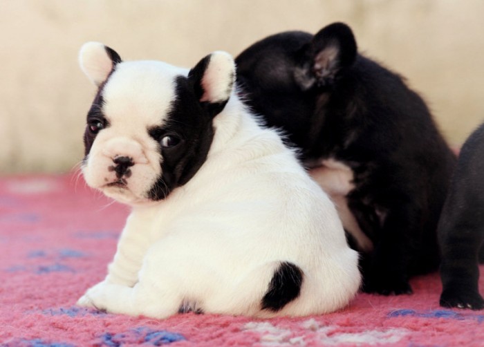 Photo de profil de claire122