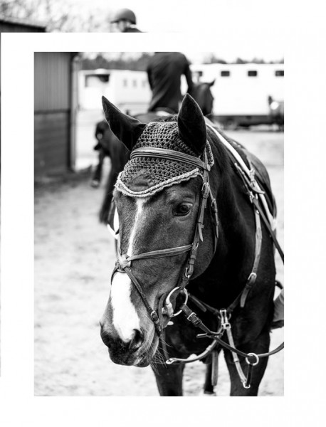 Photo de profil de clairekakou