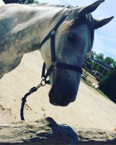 Photo de profil de claireray