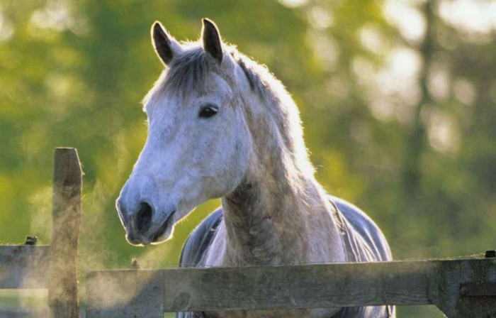 Photo de profil de claraprt