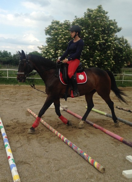 Photo de profil de clarisse0306
