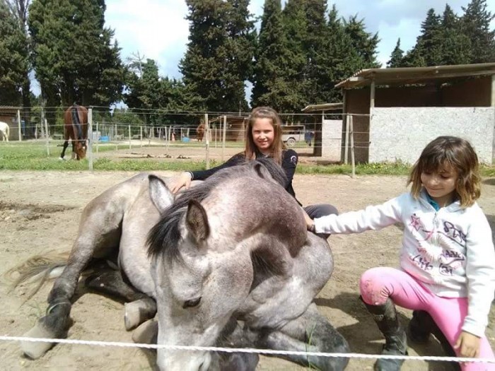 Photo de profil de clarissehorse