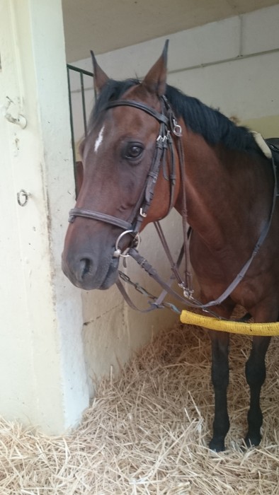 Photo de profil de clecle21