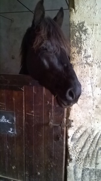 Photo de profil de clem36