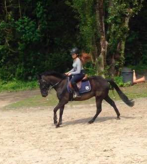 Photo de profil de clemarionneau