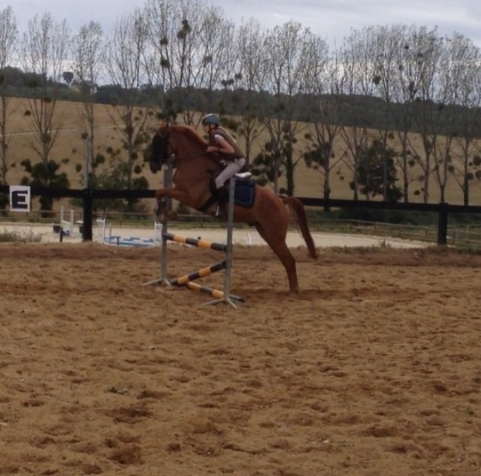 Photo de profil de clemcanou