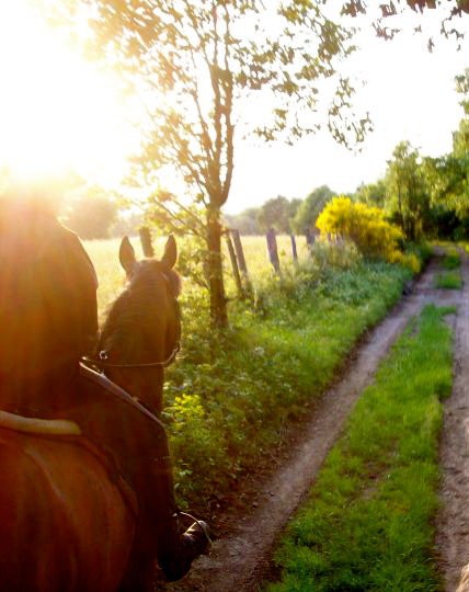 Photo de profil de clemencepetit