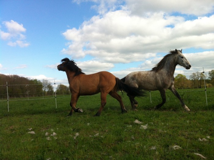 Photo de profil de clemencette