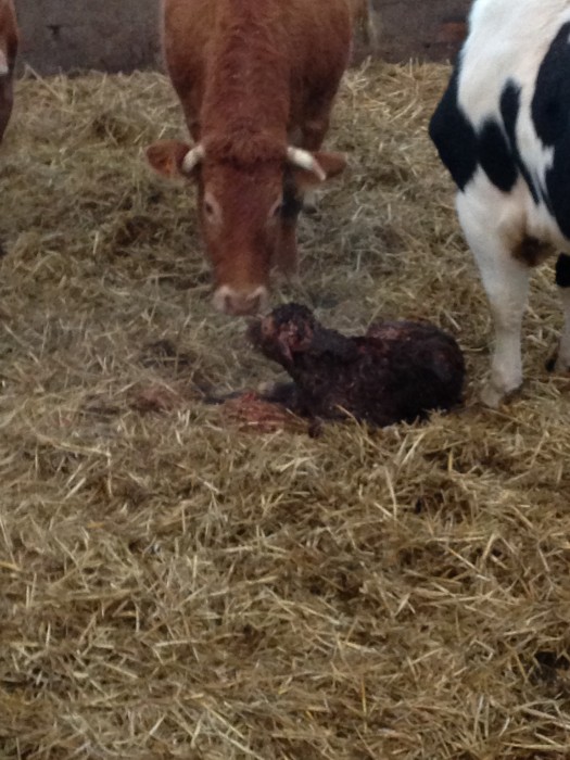 Photo de profil de clement1804