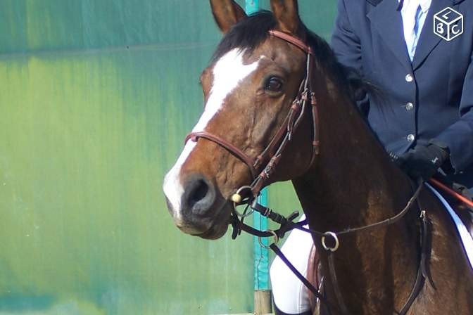 Photo de profil de clemequilibre