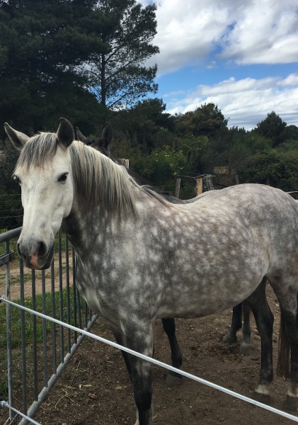 Photo de profil de clemkht