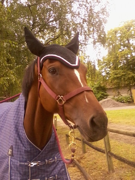 Photo de profil de clin65