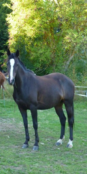 Photo de profil de cloefaynot