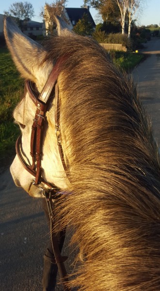 Photo de profil de cmoi29