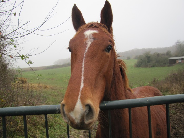 Photo de profil de coco95450