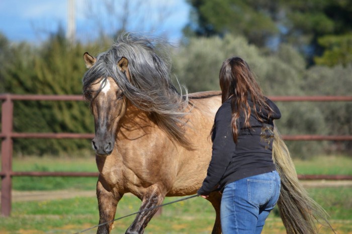 Photo de profil de colombe13100