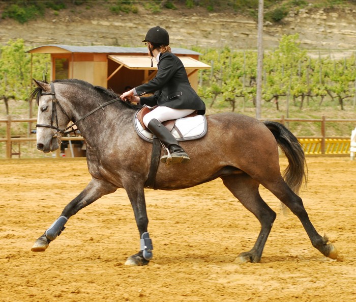 Photo de profil de coly