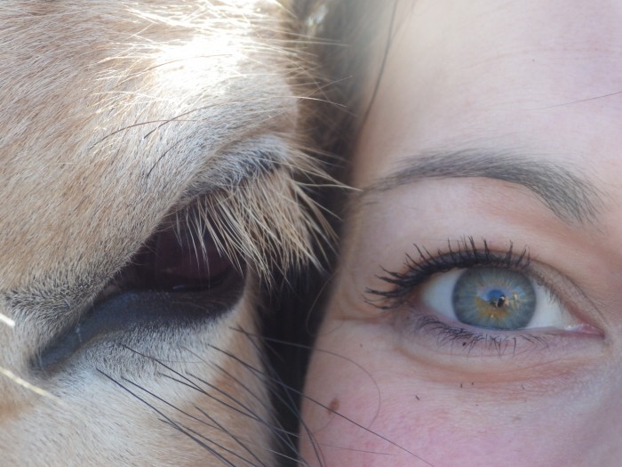 Photo de profil de coralie88