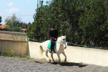 Photo de profil de coralynet