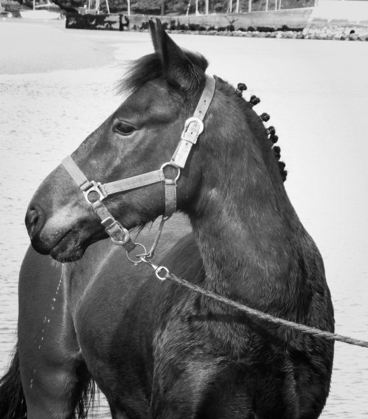 Photo de profil de cp1309