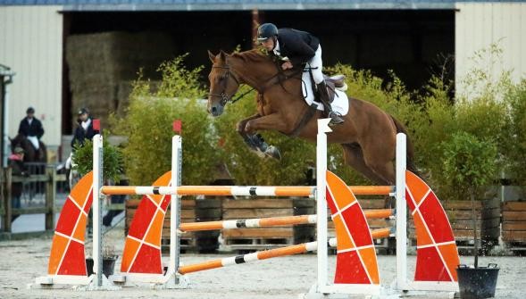 Photo de profil de cpchevaux