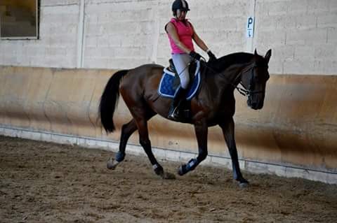 Photo de profil de cricri1