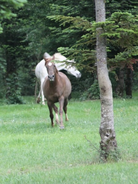 Photo de profil de curro