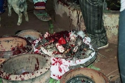 Photo de profil de daah