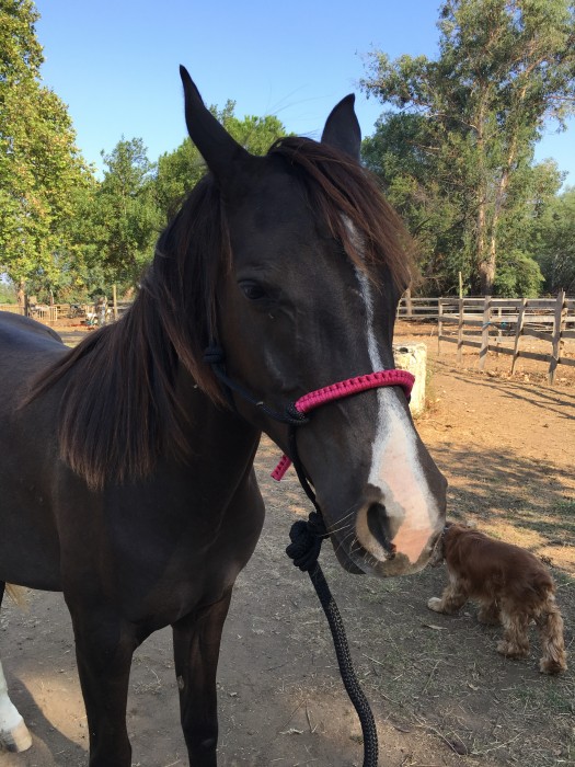 Photo de profil de dade14