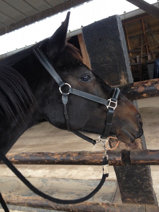 Photo de profil de dado_ketty