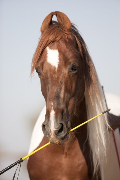 Photo de profil de daenerys8