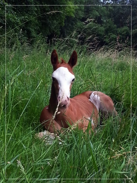 Photo de profil de dallas88